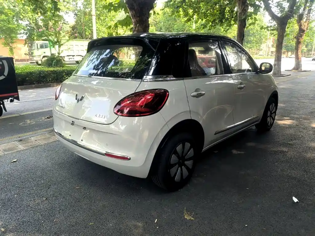 Wuling Motors Wuling Bingo 2026 2025 Model 333km Smart Connect