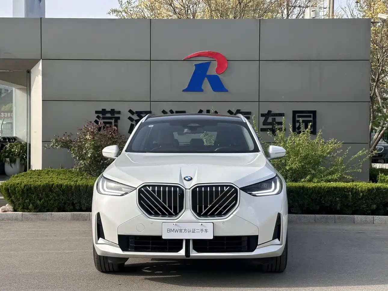 BMW X3 2025 xDrive25L Luxury Package фото 8