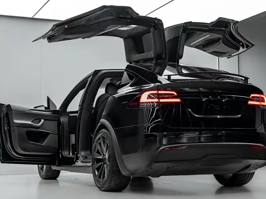 Фото 35 - Tesla Model X