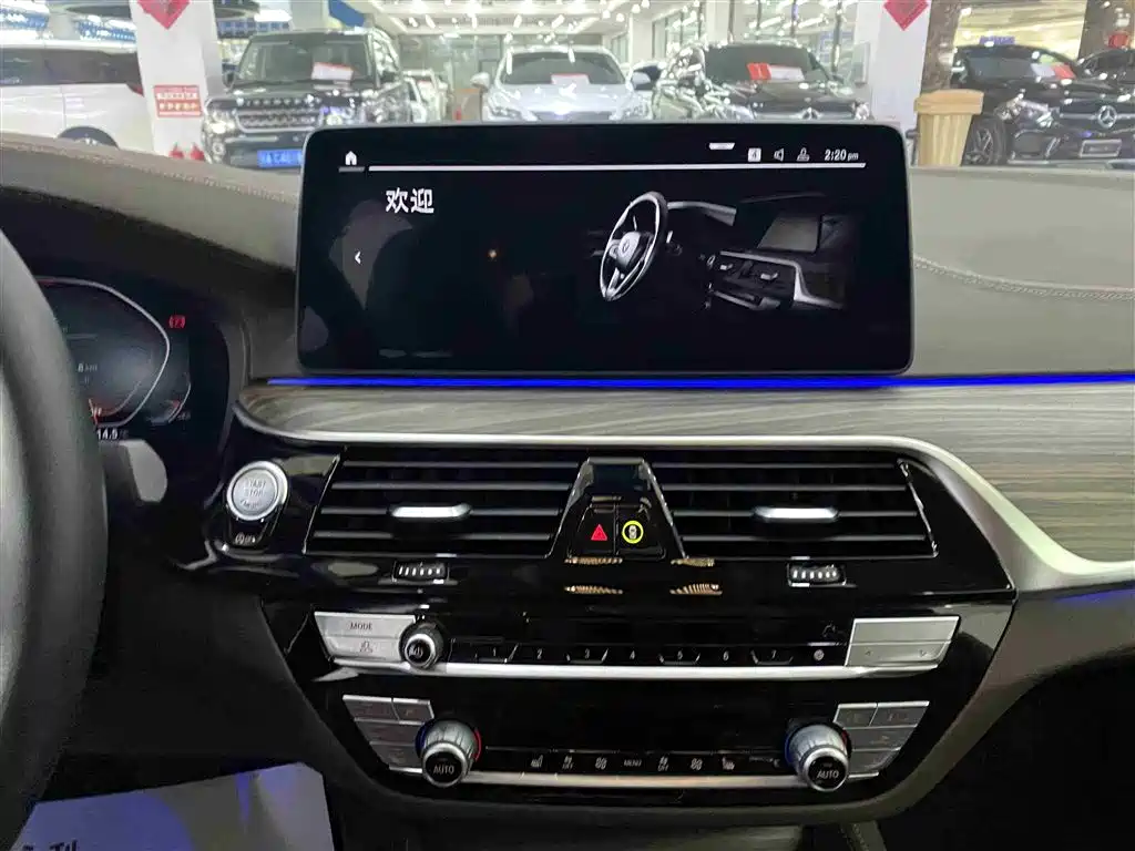 BMW 5 Series 2021 530Li Leading Luxury Package фото 9