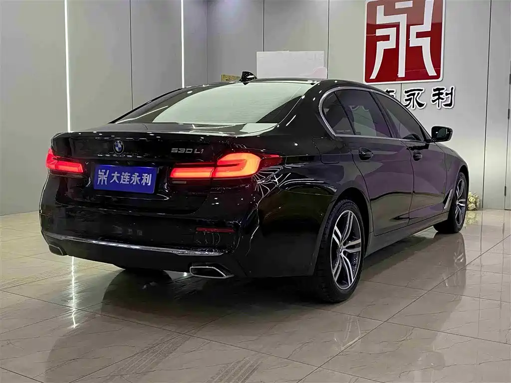 BMW 5 Series 2021 530Li Leading Luxury Package фото 16