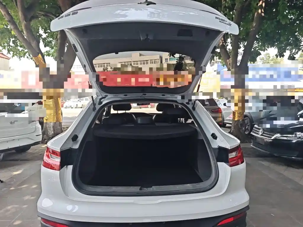 Baojun RC-6 2020 2019 1.5T CVT 24-hour Online Luxury