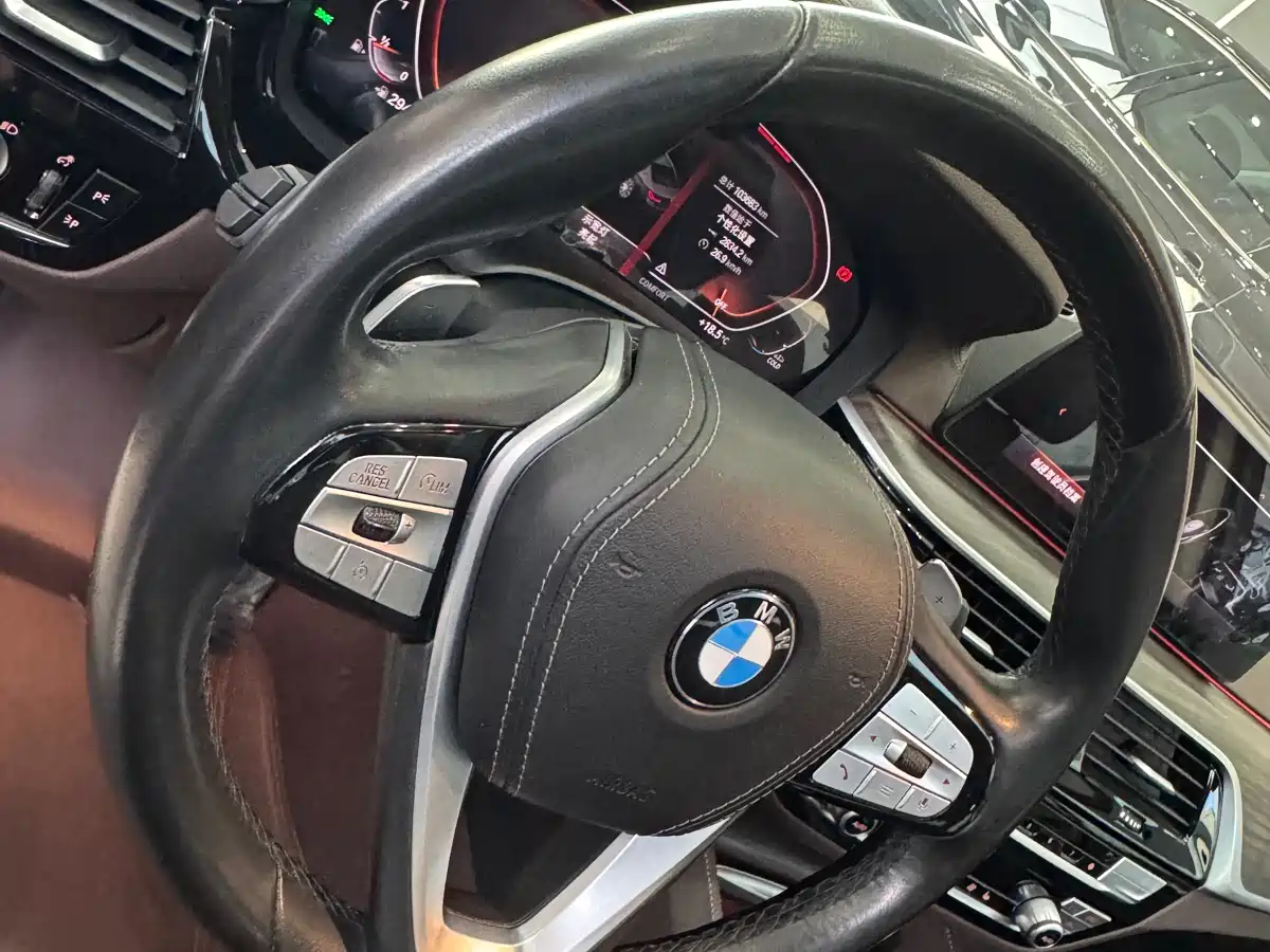 BMW 5 Series 2020 530Li Leading Luxury Package фото 17
