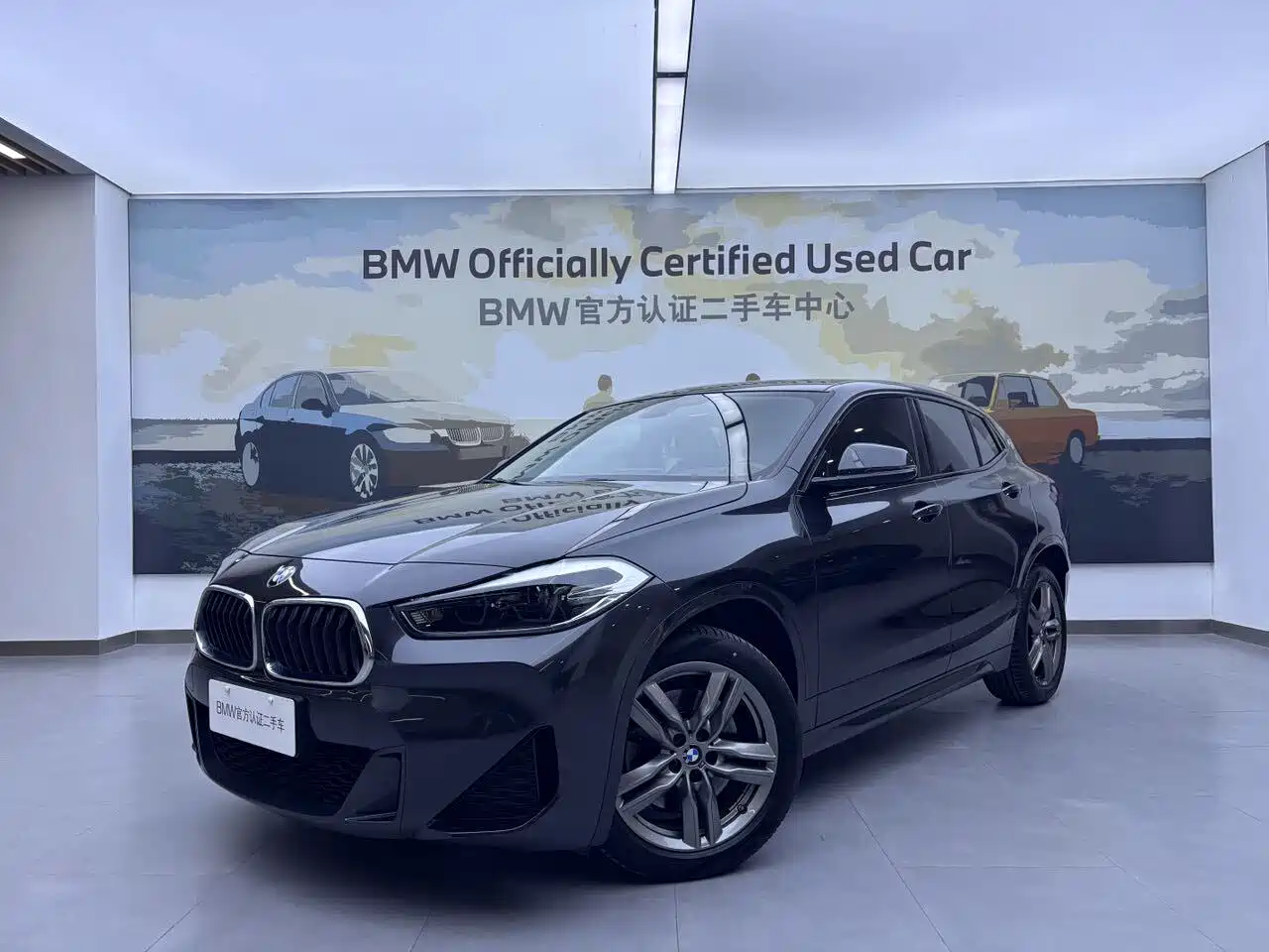 BMW X2 2021 sDrive25i Leading M Off-Road Package фото 2