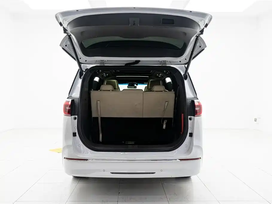 Buick GL8 2022 ES Landmark 653T Luxury фото 13