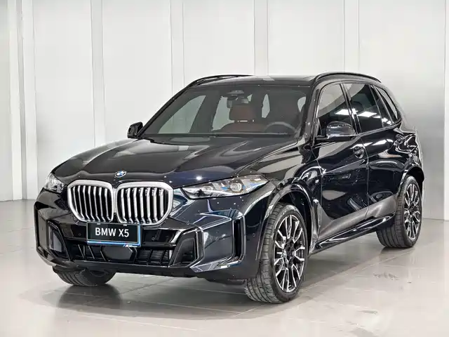 BMW X5 xDrive 40Li, M Чёрный спорт-пакет