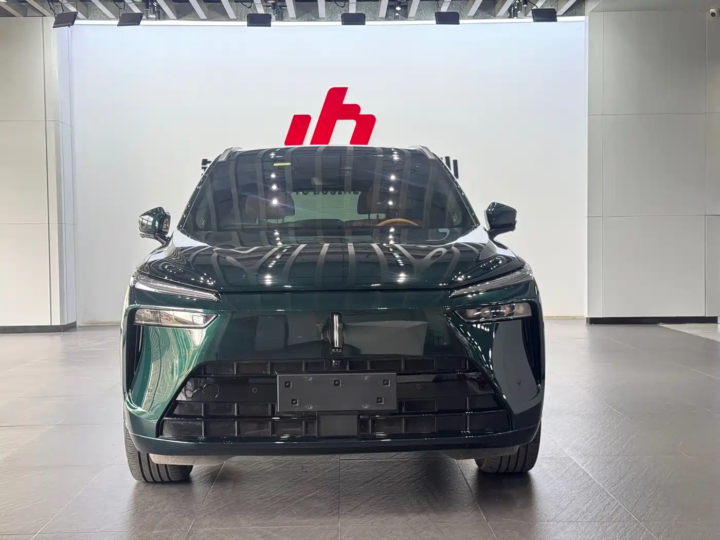 WEI PAI WEI BRAND BLUE MOUNTAIN