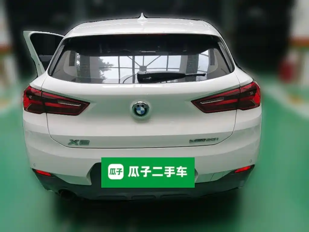 BMW X2 (Import) 2019 2019 sDrive20i M Off-Road Package China VI