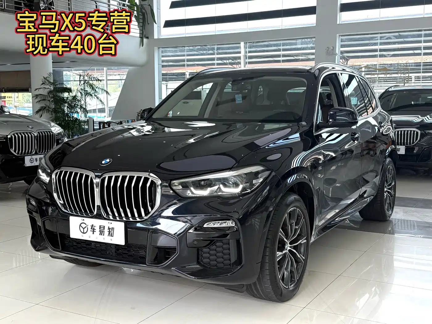 BMW X5 (Import)