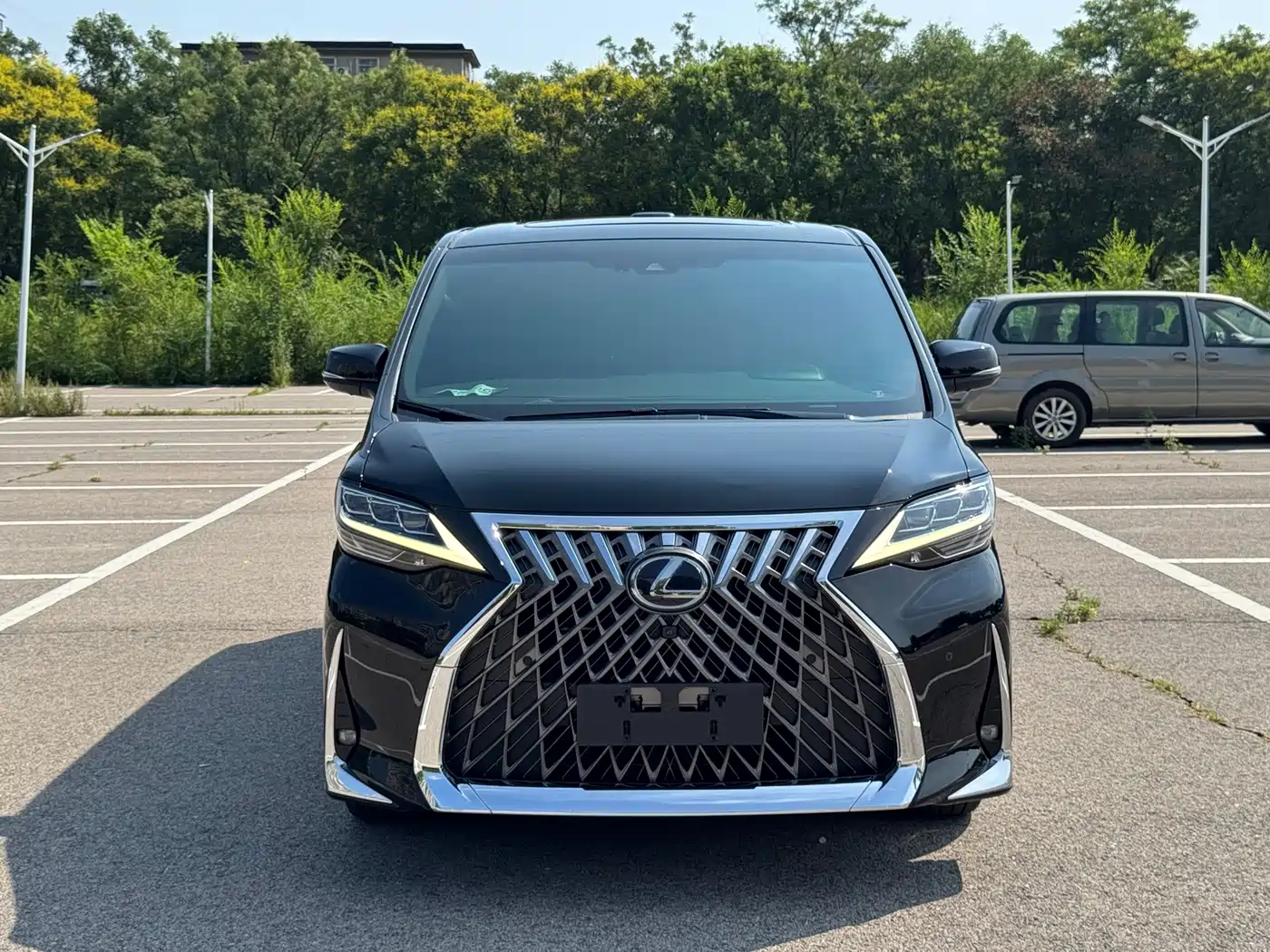 Фото 2 - Lexus LM