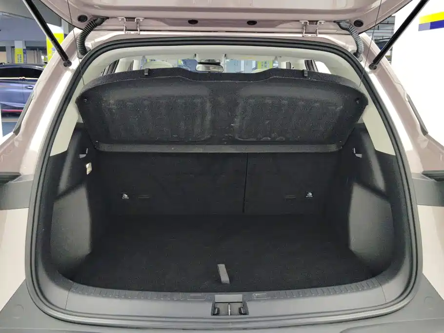 BYD Yuan UP 2024 2024 401KM Surpass Edition