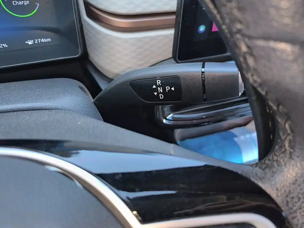 Sehol Flower Fairy 2021 2021 302km Luxury Edition 31.4kWh