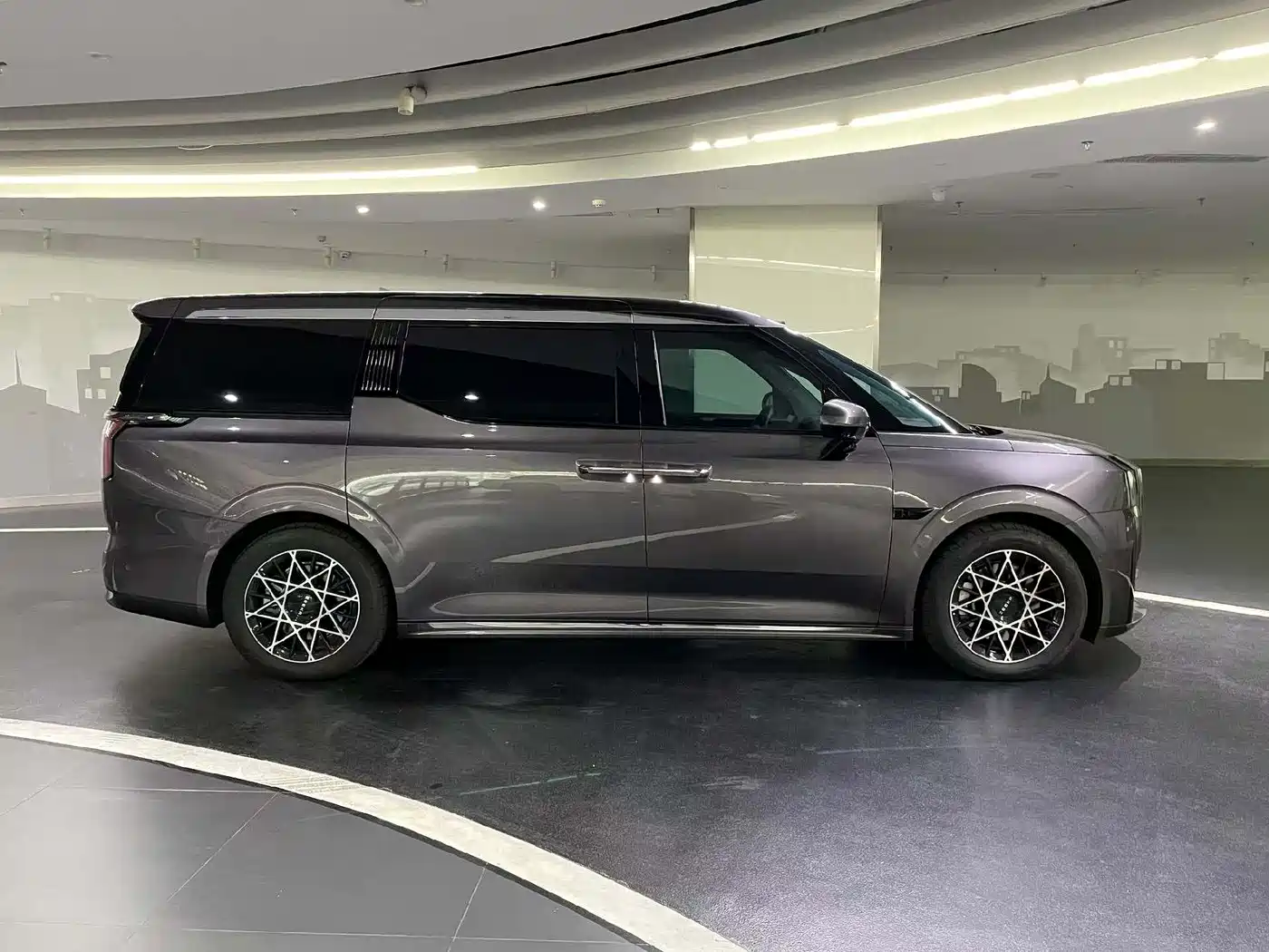 ZEEKR EXTREME KRYPTON 009