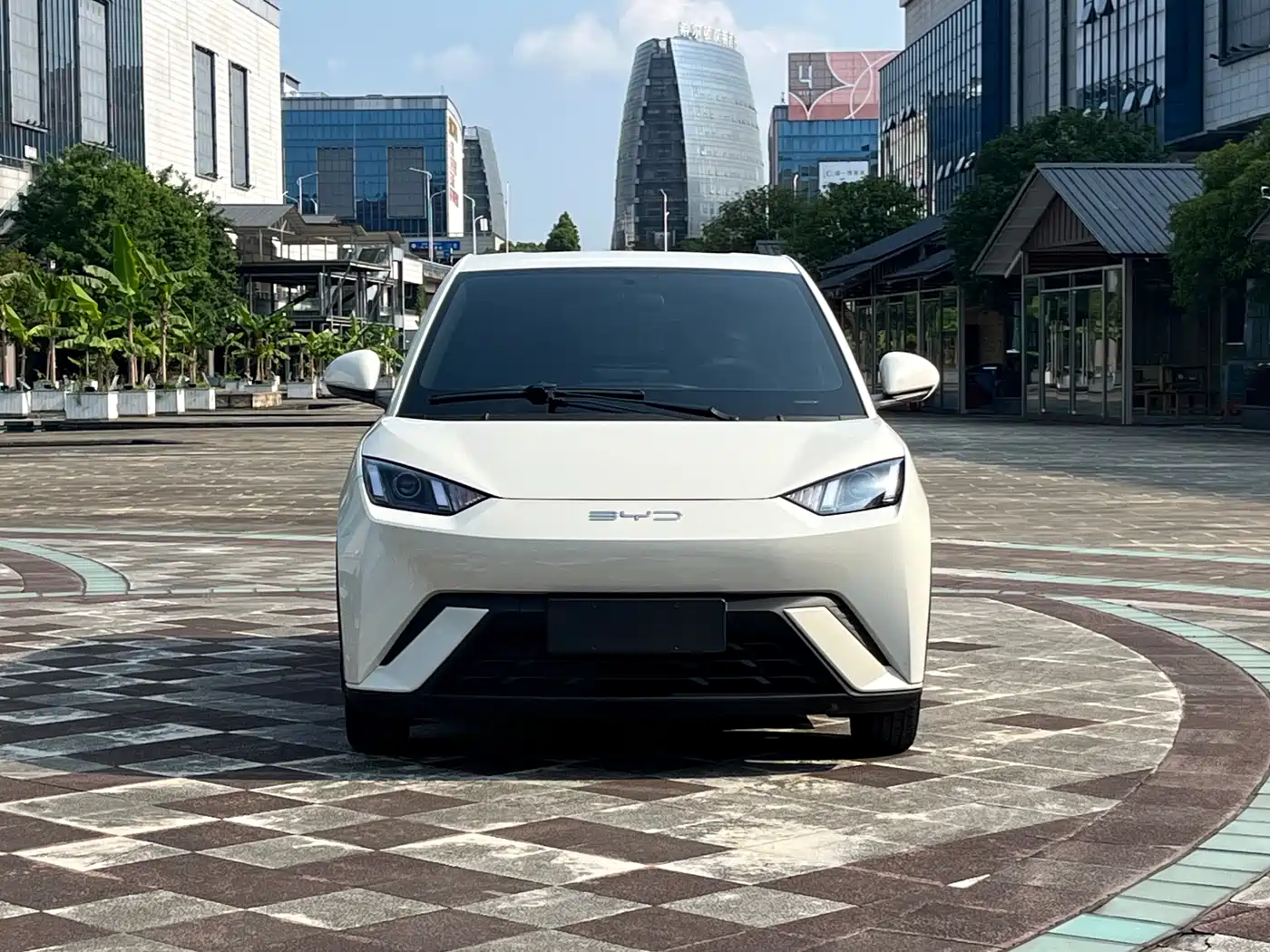 BYD Seagull 2023 Vitality Edition фото 2
