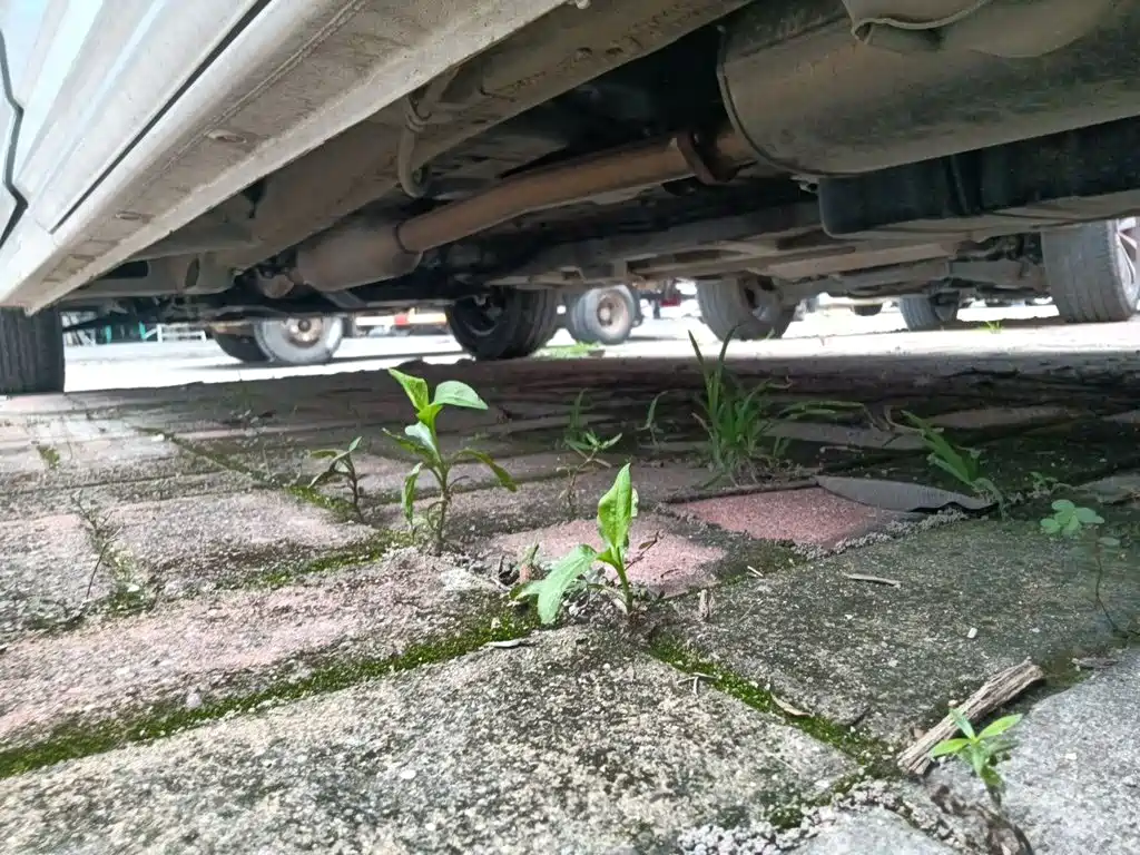 Wuling Motors Wuling Journey 2022 2021 Model 1.5T Manual Comfort