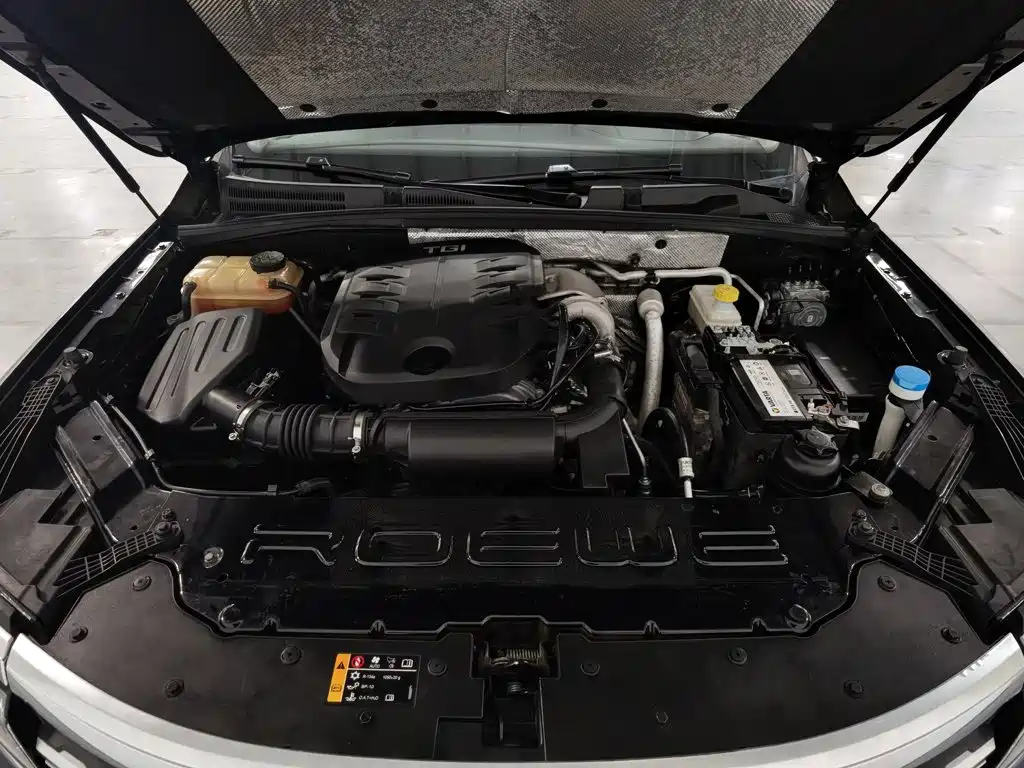 Фото 6 - Roewe RX8