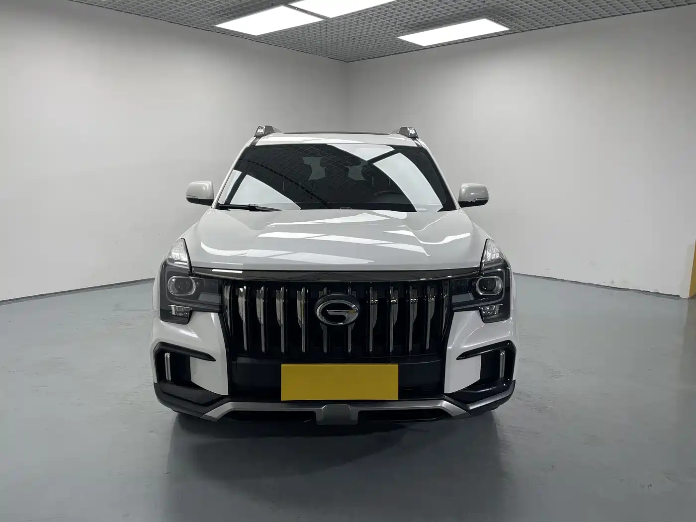 GAC Trumpchi Trumpchi GS8 2020 Model 390T FWD Luxury (5-seater) фото 2