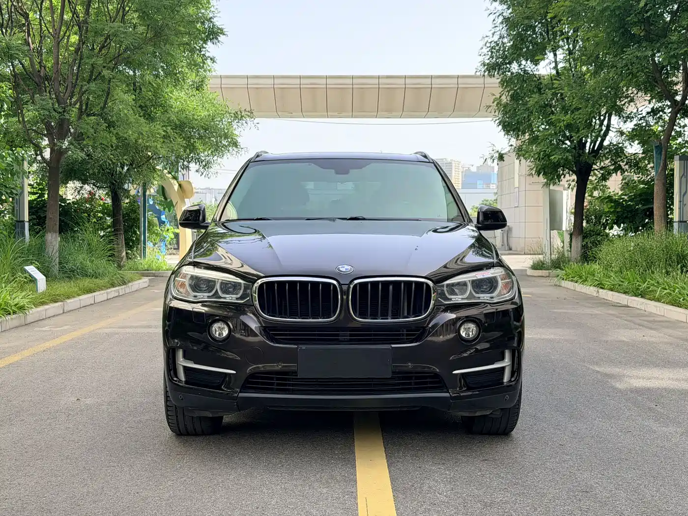 BMW X5 (Import) 2014 xDrive35i Elegance фото 2