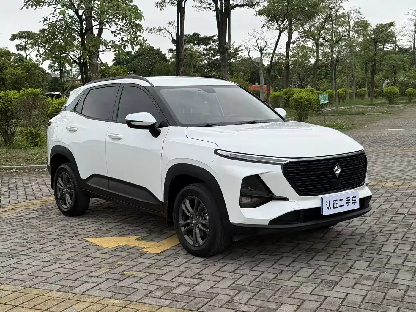 BAOJUN RS 3