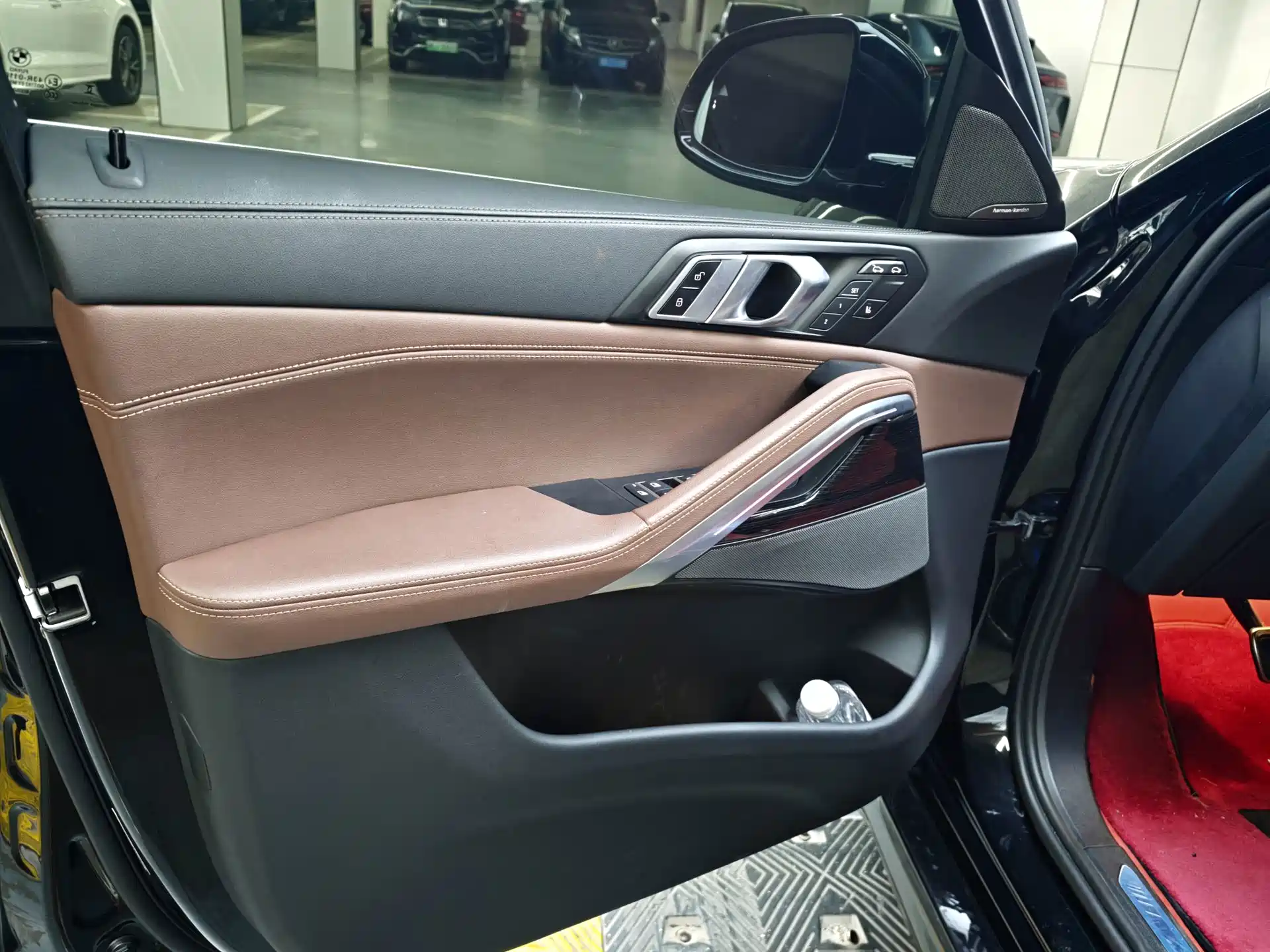 Photo 12 - BMW X6