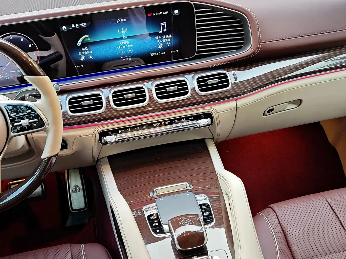 Mercedes-Benz Maybach GLS 2021 GLS 480 4MATIC фото 10