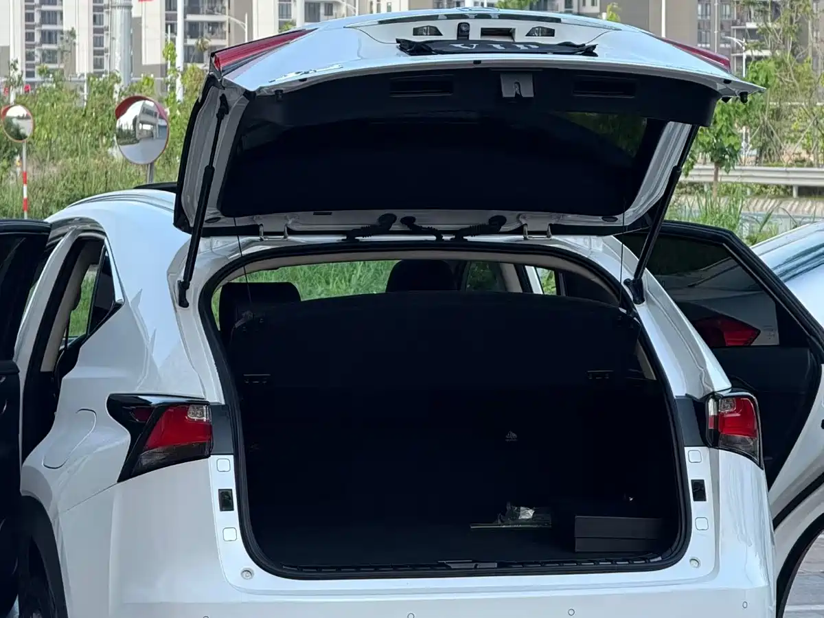 Lexus NX 2015 200t AWD F Sport фото 7