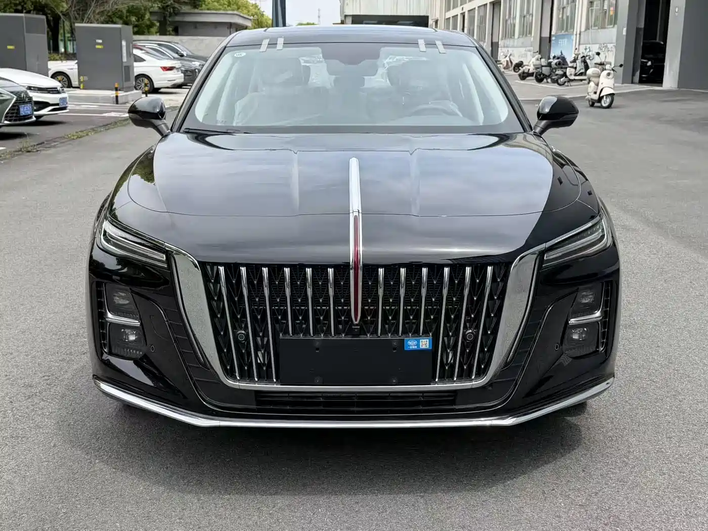 Hongqi H5 2025 2.0T Automatic Qixiang 500,000 Units Commemorative Edition фото 2