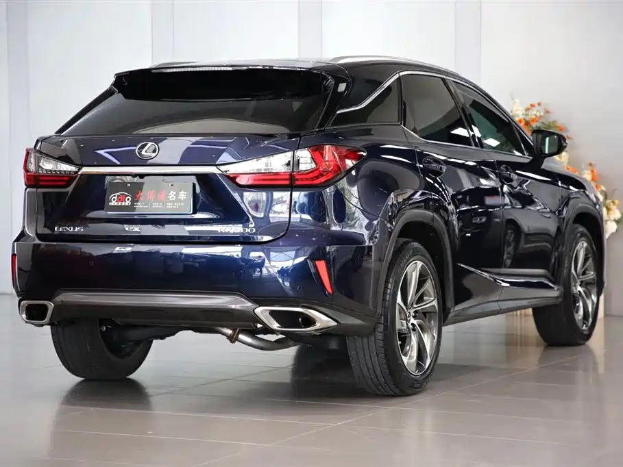 Lexus RX 2016 300 4WD Elegance Edition (China V) фото 3