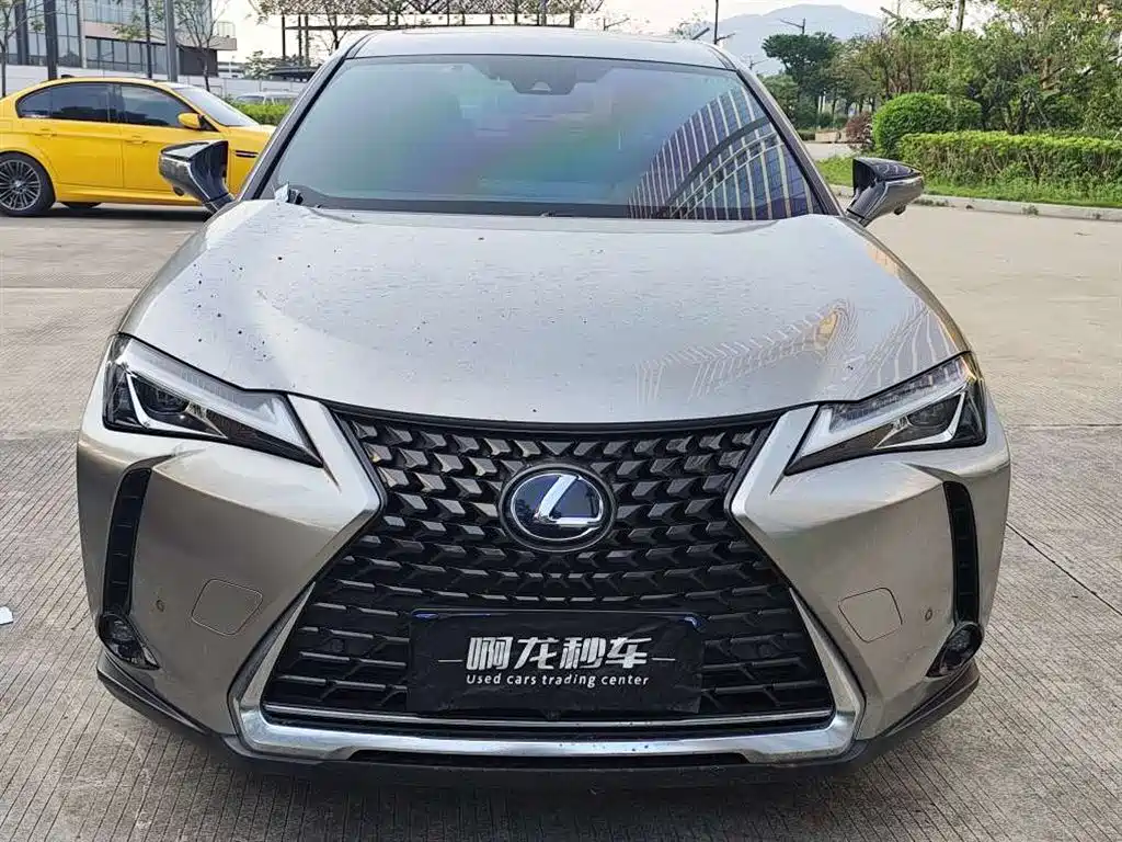 Lexus UX 2021 2020 260h Explore Fun Edition