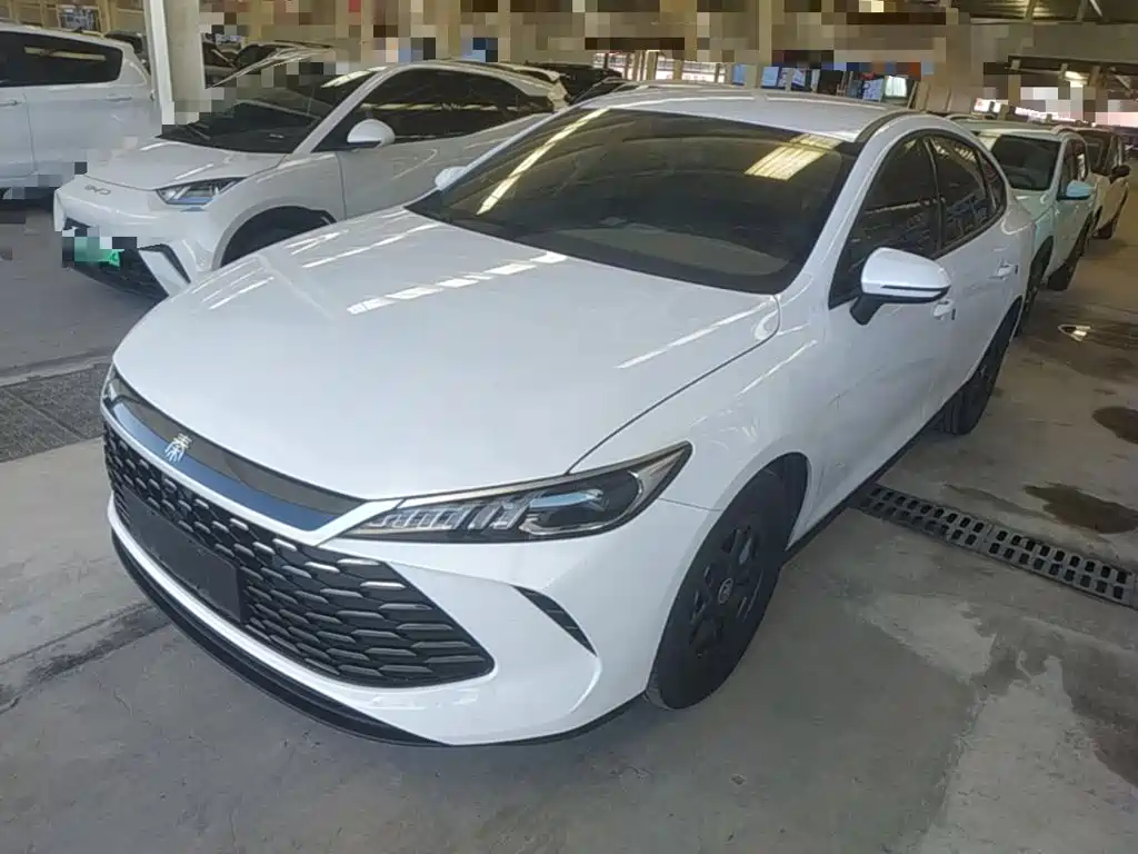 BYD Qin PLUS 2025 DM-i Smart Drive 55KM Leader