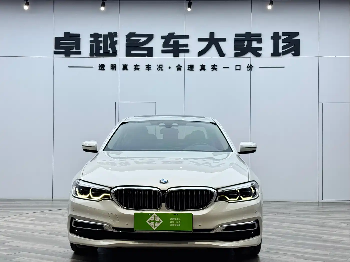 BMW 5 SERIES NEW ENERGY