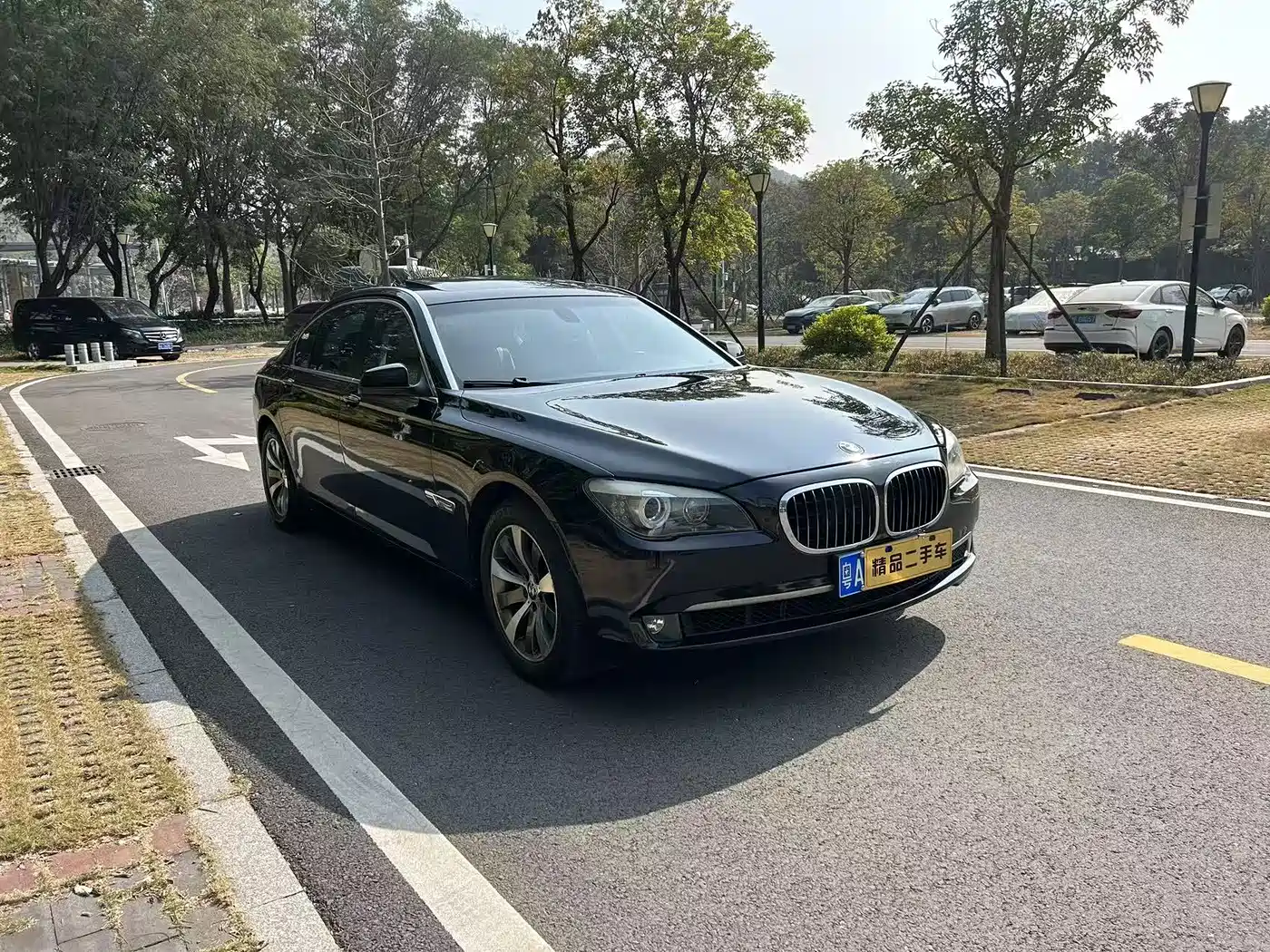 BMW 7 Series 2009 740Li Luxury фото 3