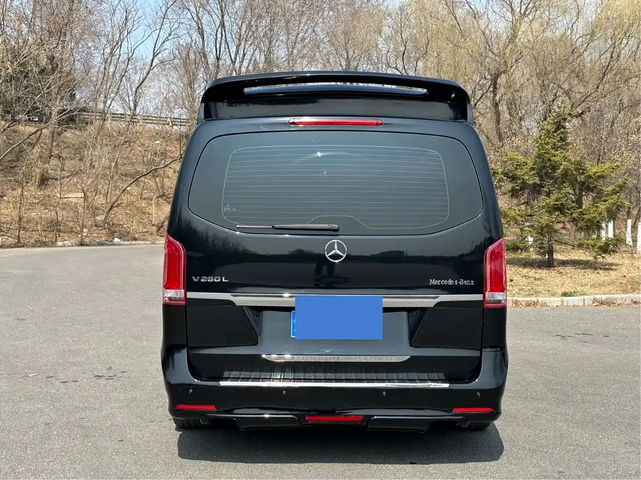 Mercedes-Benz Vito 2018 2.0T Business Edition China VI фото 18