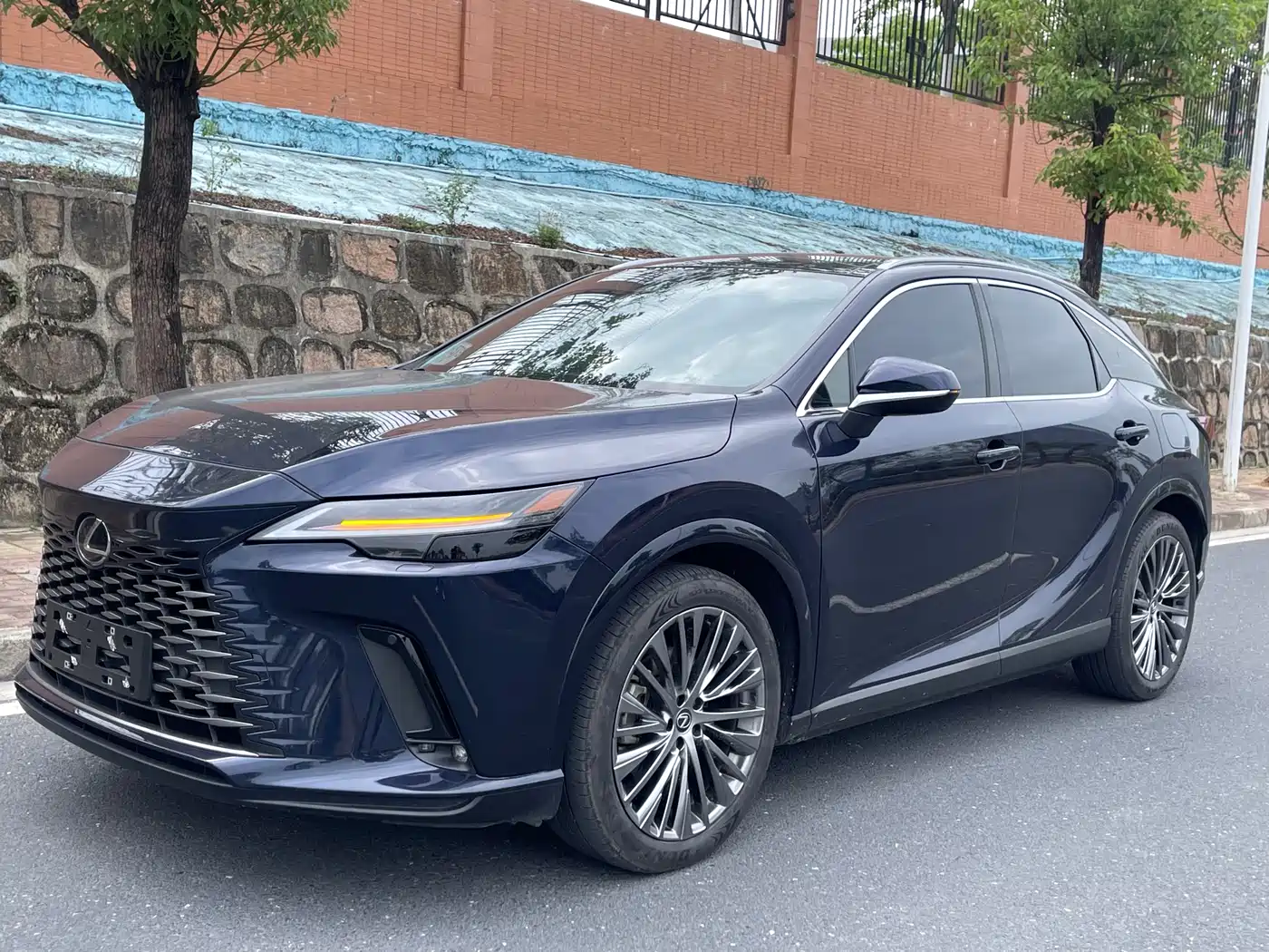 LEXUS RX