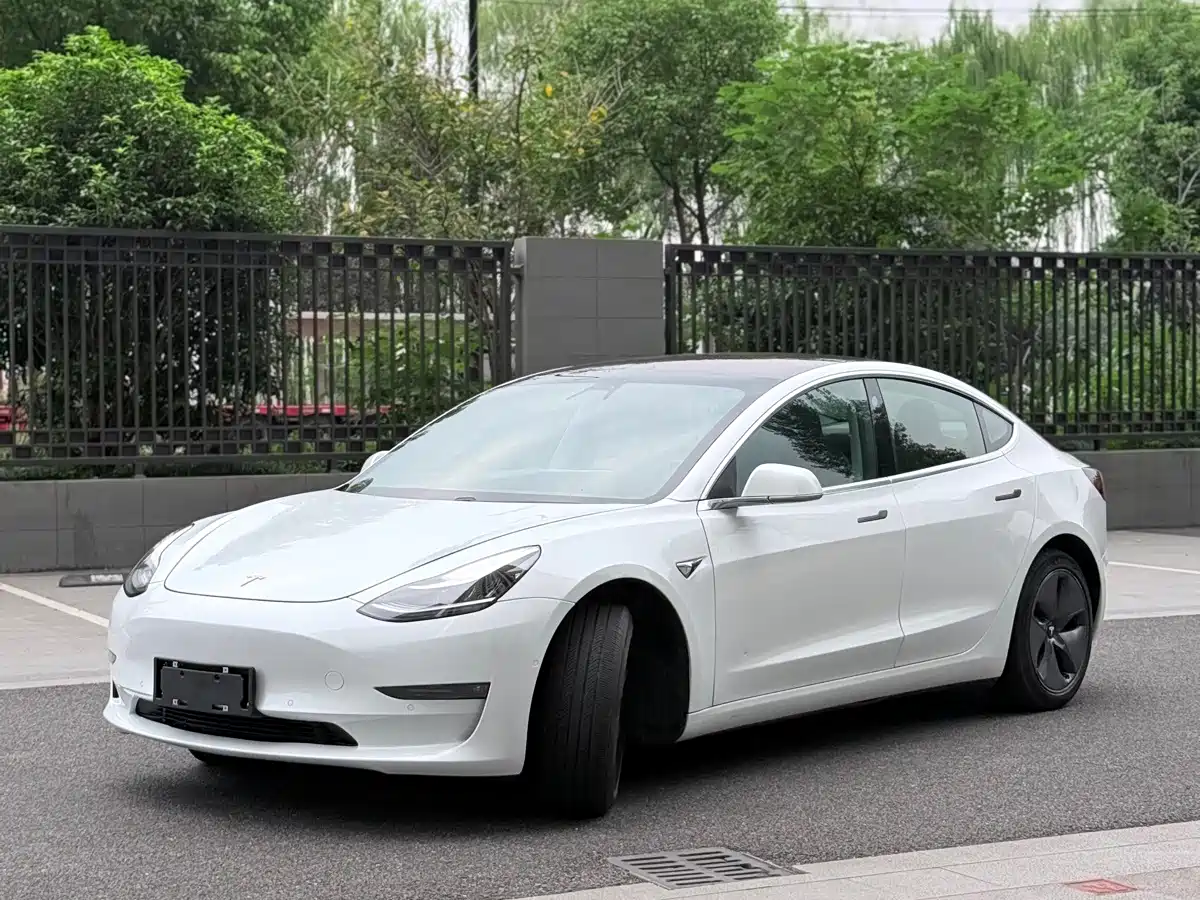 Tesla Model 3 (Import) 2019 2019 Long Range RWD Version