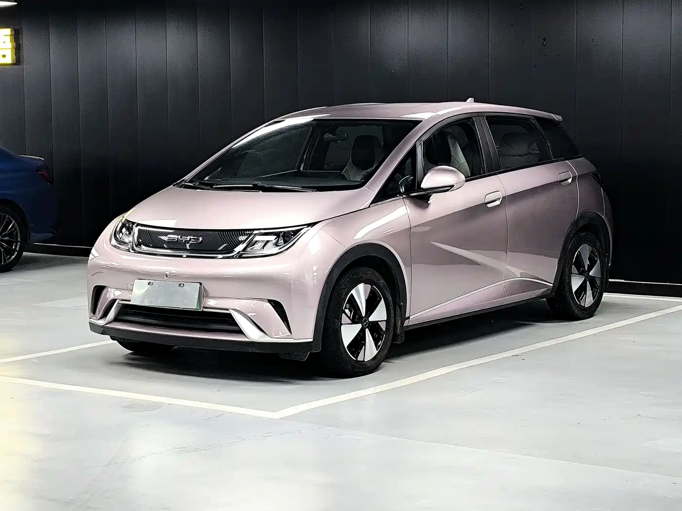 BYD Dolphin 2023 420km Freedom Edition