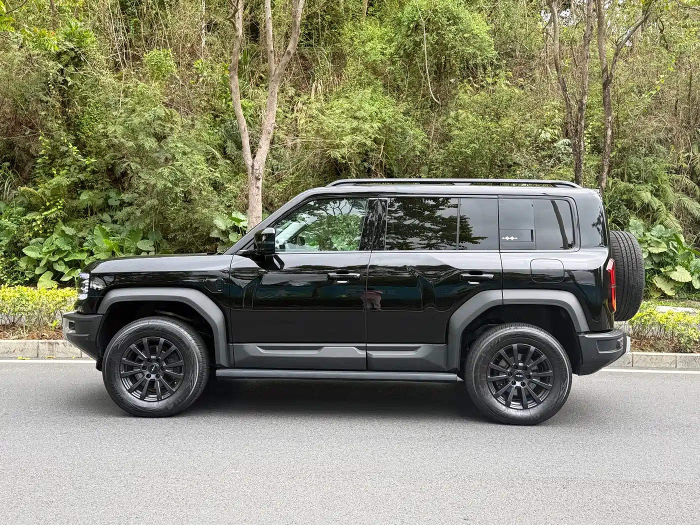 FANG CHENG BAO LEOPARD 5