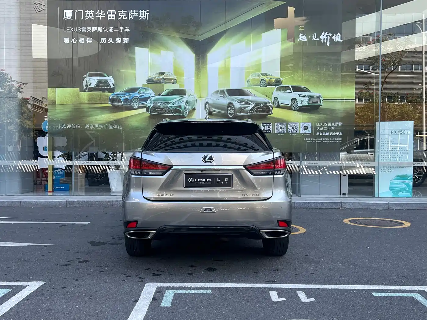 Lexus RX 2021 300 AWD Special Edition фото 10