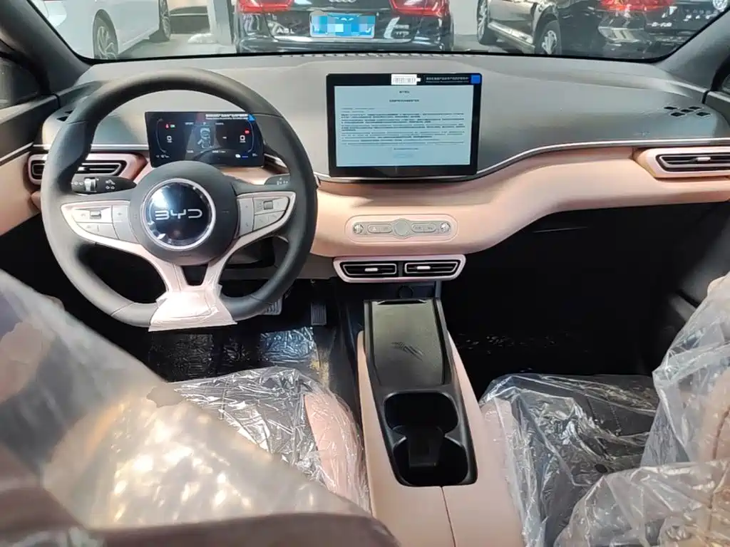 BYD Seagull 2026 2025 Smart Drive Edition 305km Vitality Version