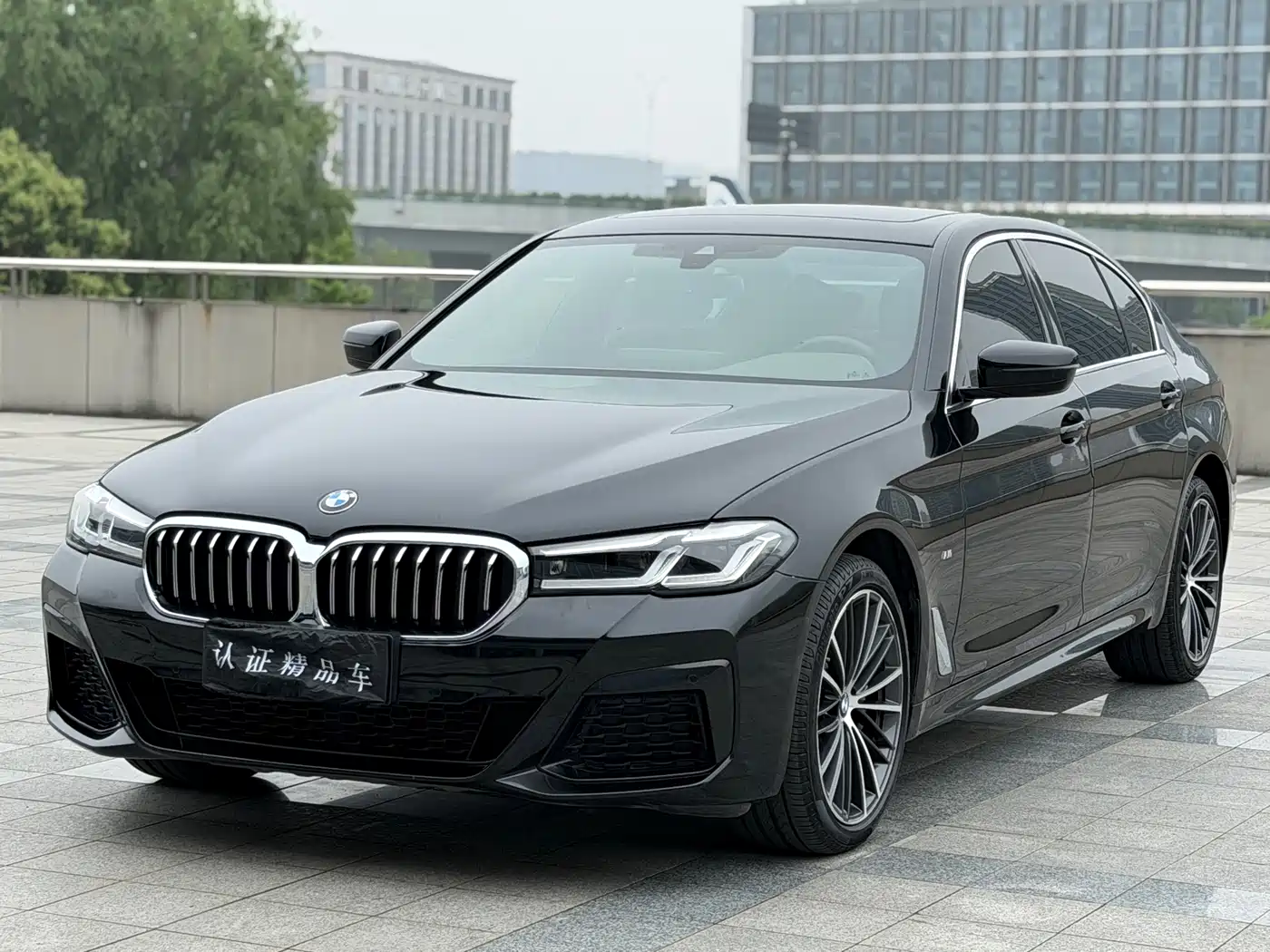 BMW 5 Series 2021 530Li xDrive M Sport Package