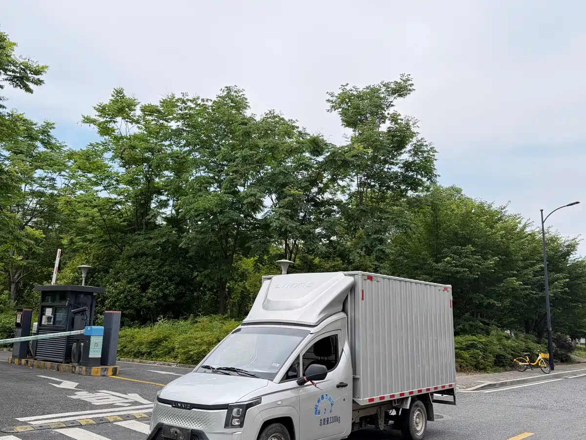 Lingshi Auto Ling Shi Golden Card 2025 2025 Pure Electric Version 260km Container Top Edition