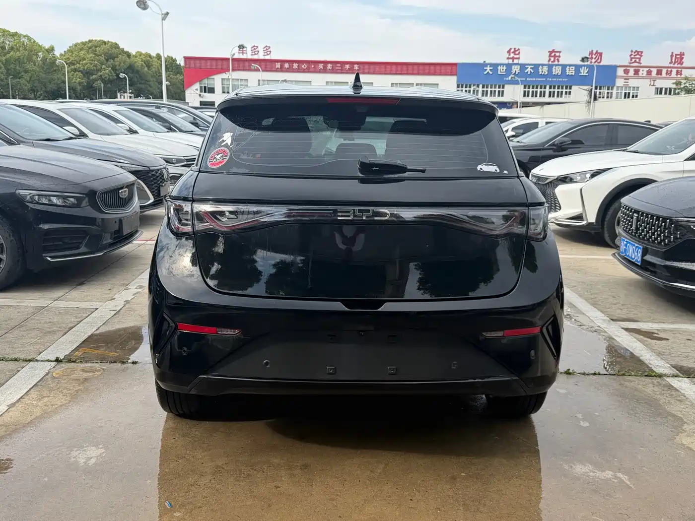 BYD Dolphin 2025 420km Freedom Edition фото 10