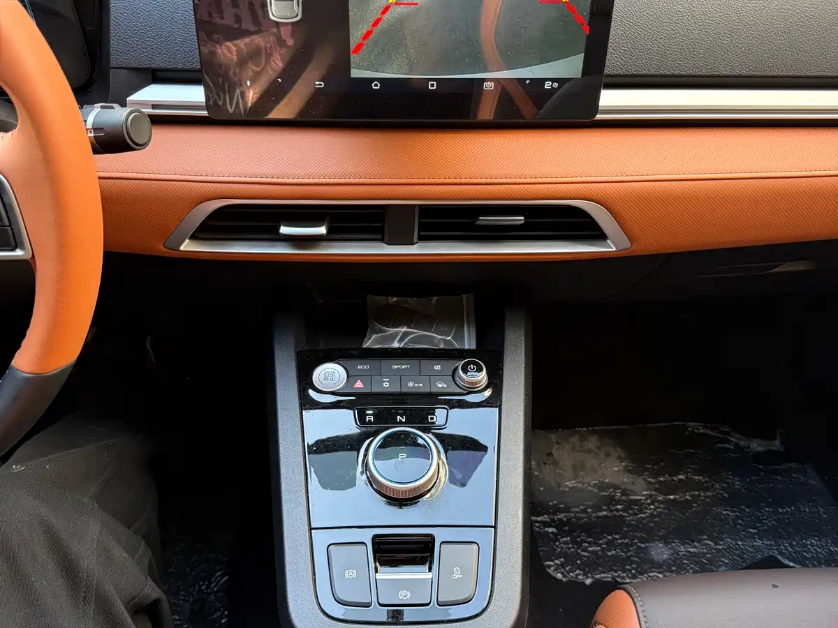 BYD e2 2021 Luxury Edition фото 13