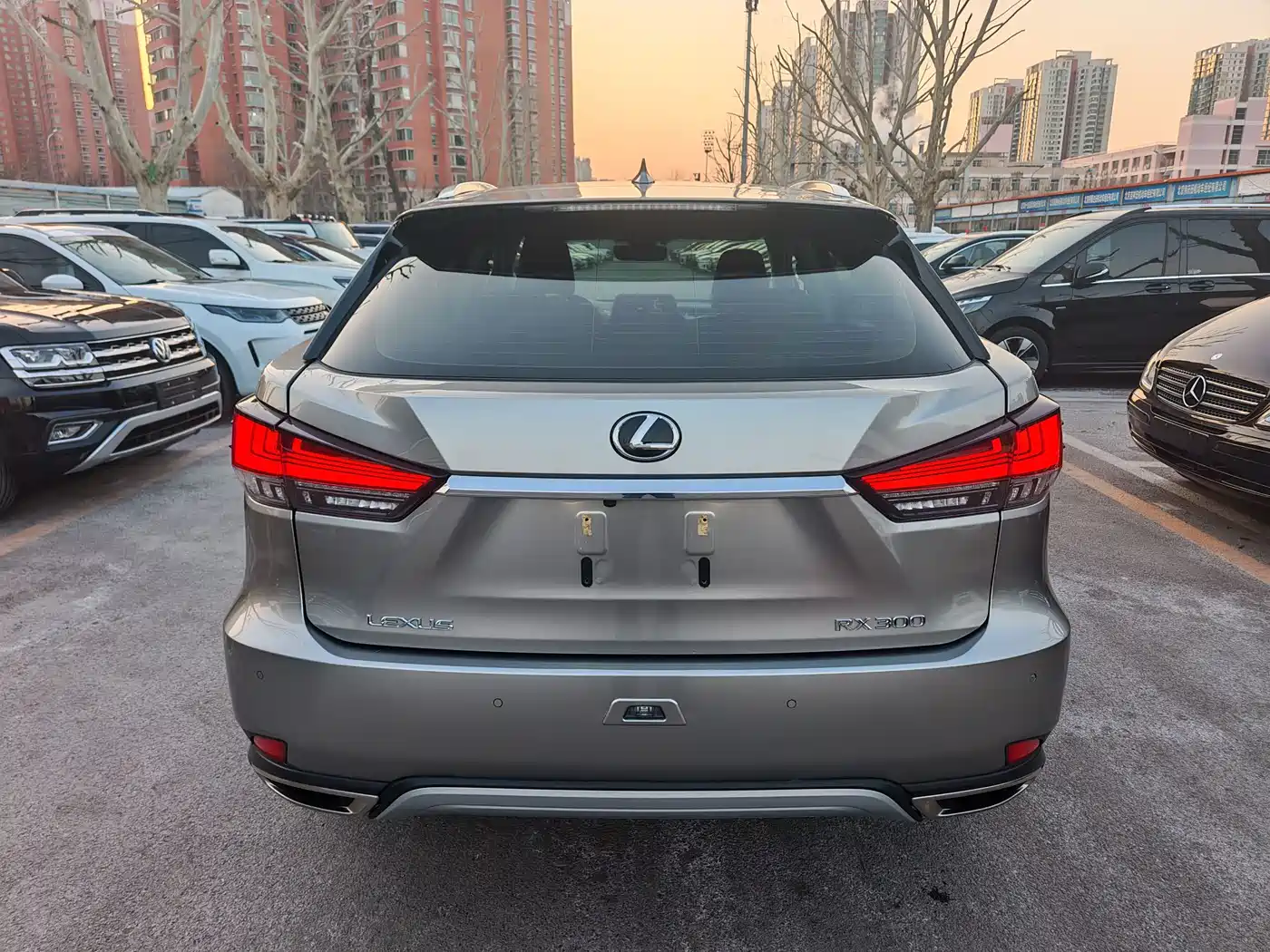 Lexus RX 2020 300 2WD Comfort Edition China V фото 5