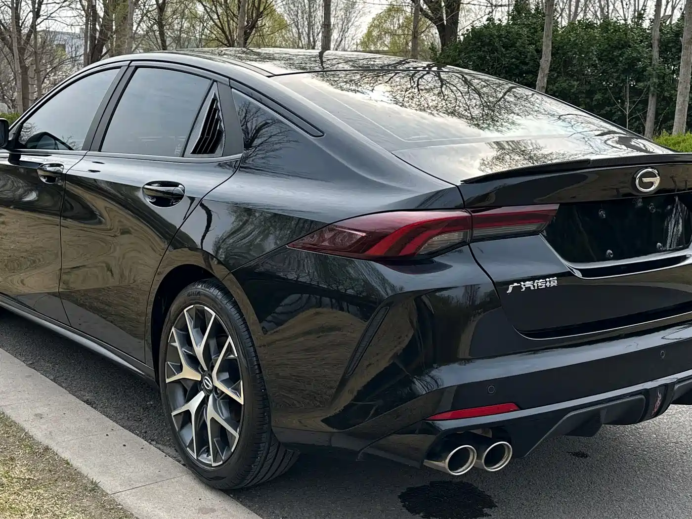 GAC TRUMPCHI SHADOW LEOPARD