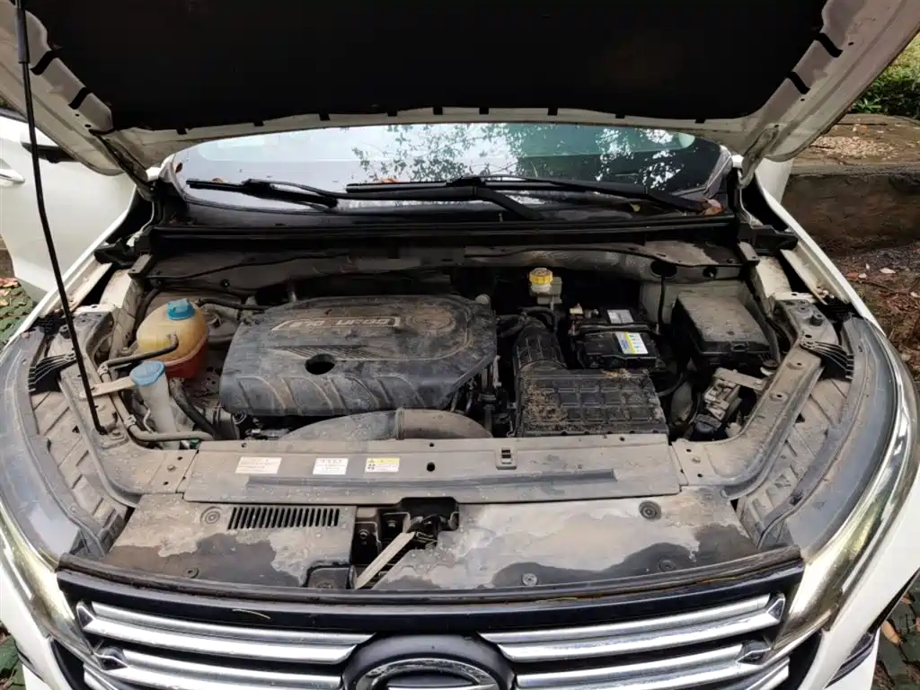 GAC Trumpchi Trumpchi GS4 2020 270T Automatic Smart Connect Tech Version фото 17