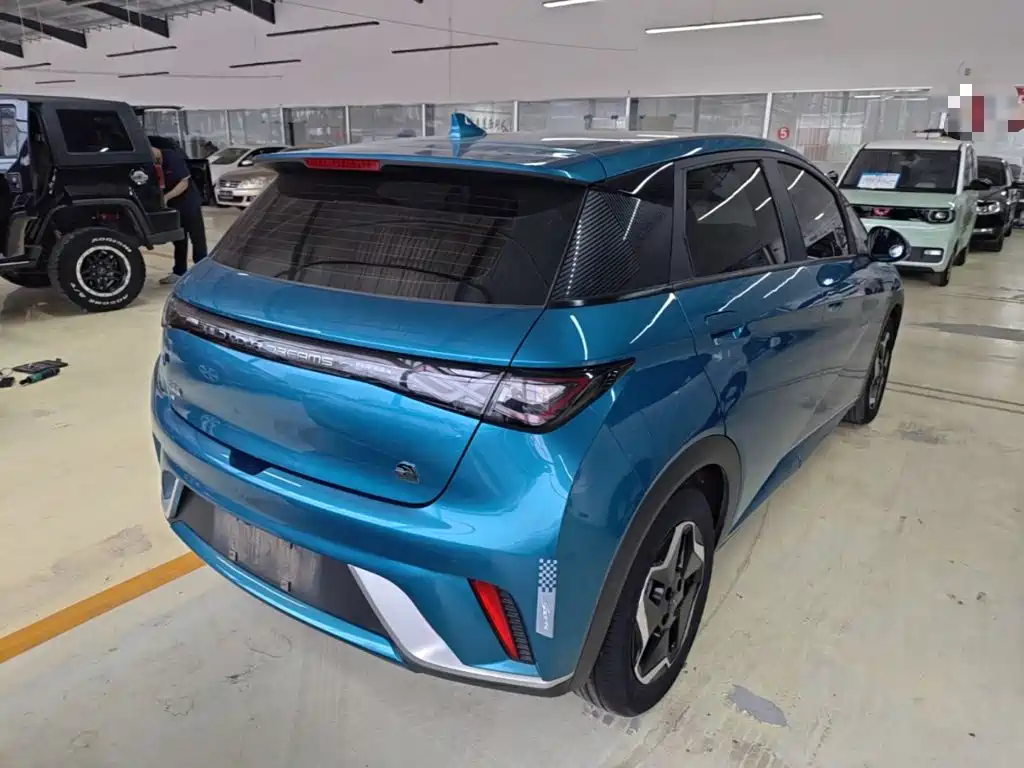 Фото 7 - BYD Dolphin