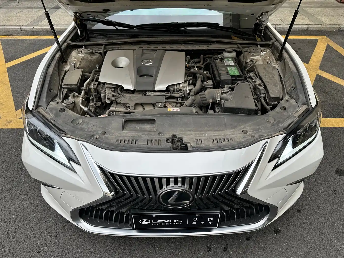 Lexus ES 2020 Model 260 Excellence Edition фото 4