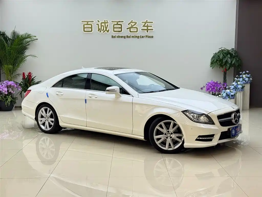 Mercedes-Benz CLS 2012 CLS 300 CGI фото 3