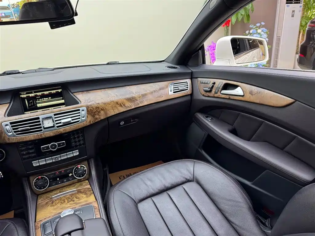 Mercedes-Benz CLS 2012 CLS 300 CGI фото 15